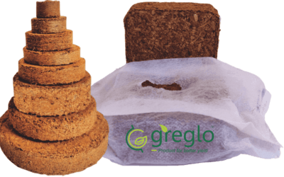 What Are Coco Discs and How Do They Help Plants Grow?