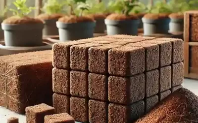 Who Are the Best Coco Peat Manufacturers in Coimbatore?