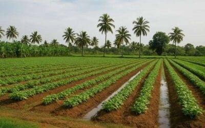 How Coconut Brick Manufacturers Are Transforming Modern Agriculture
