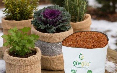 Cocopeat Grow Bag Enhancing Modern Farming Systems Worldwide