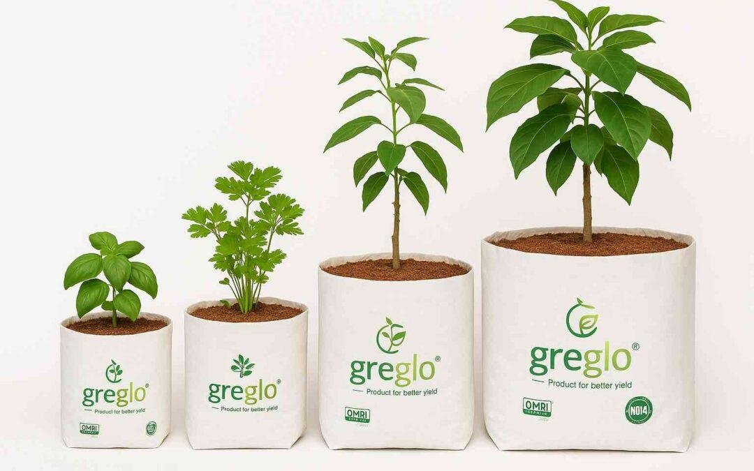 Four Greglo-branded grow bags of different sizes placed side by side, each containing a healthy plant like basil, parsley, and young trees, showcasing size variations suitable for herbs, vegetables, and larger plants.