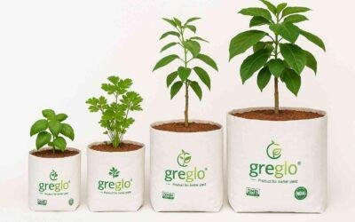 Best Proven Coir Pith Grow Bags for Professional Growers