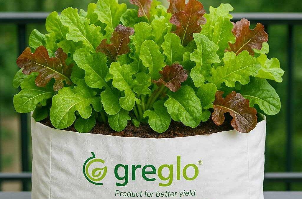 grow bag for lettuce