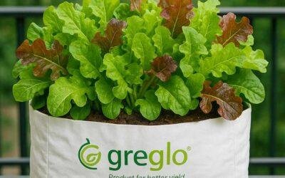 What Is Grow Bags? Complete Guide for Beginners in Gardening