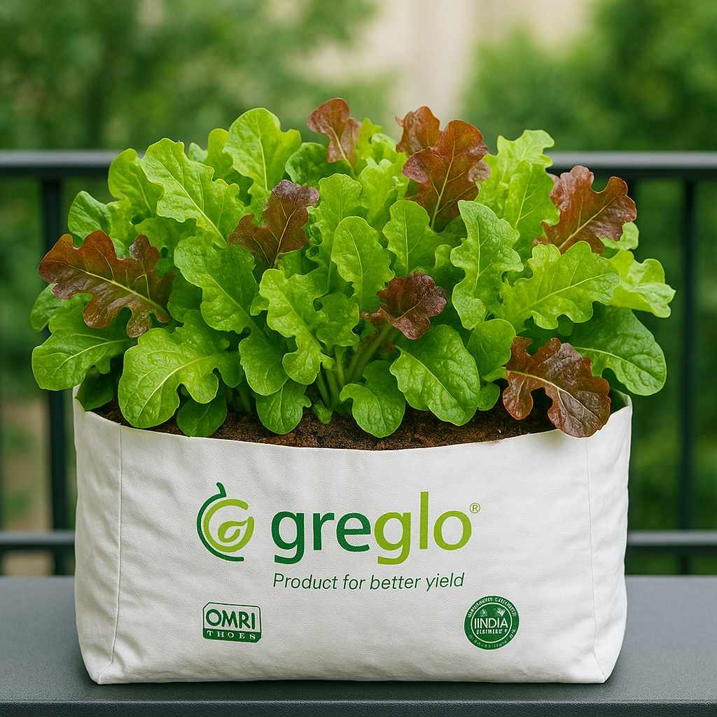 grow bag for lettuce<br />
