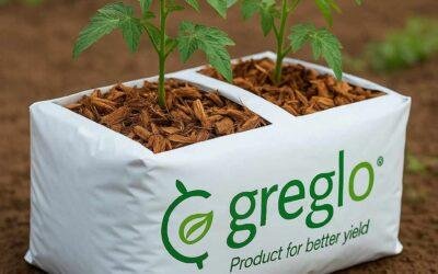 What Is a Cocopeat Bag and How Is It Used for Sustainable Farming Now?