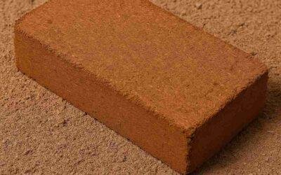 Why Cocopeat Brick Are an Eco-Friendly Alternative to Peat Moss