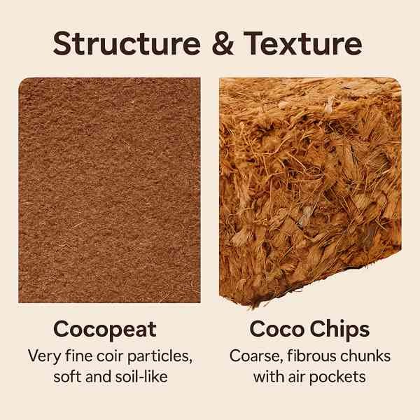 Infographic comparing cocopeat and coco chips by texture, water retention, aeration, pH, salinity, and nutrient content, with visual icons and labeled columns