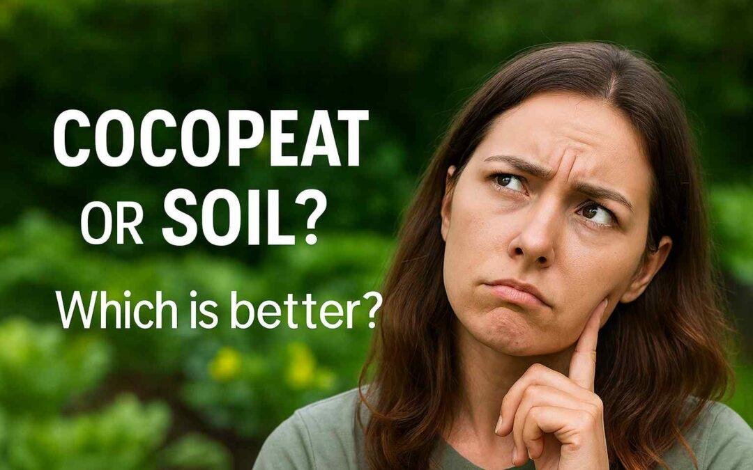 Can You Grow Vegetables in Cocopeat Instead of Soil?