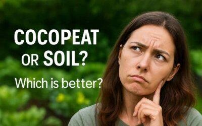 Can You Grow Vegetables in Cocopeat Instead of Soil?