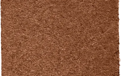 How Cocopeat 5kg Blocks Support Sustainable Agriculture