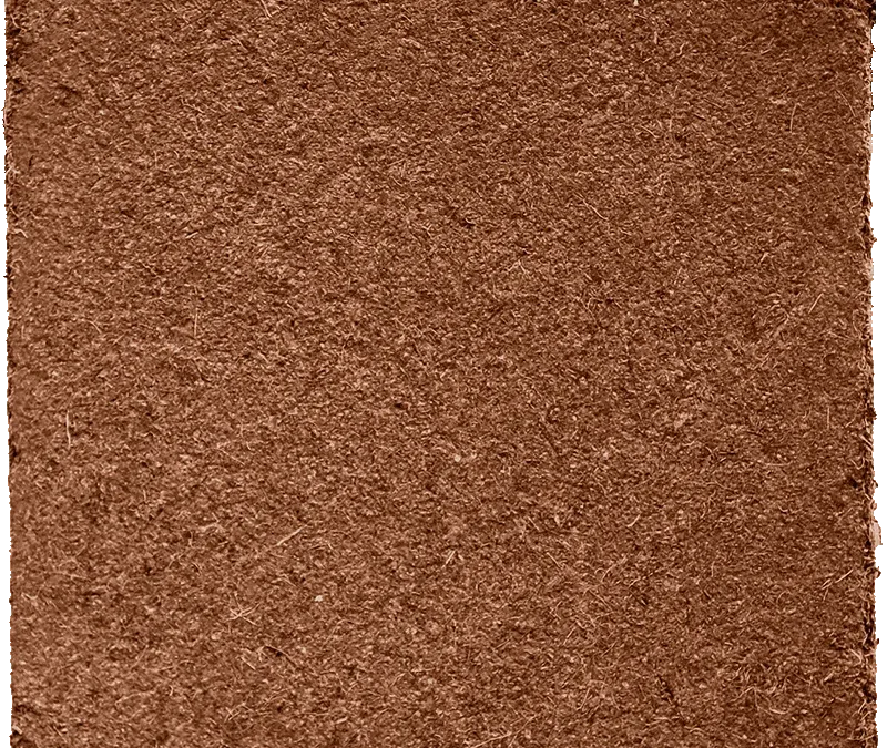 How Cocopeat 5kg Blocks Support Sustainable Agriculture