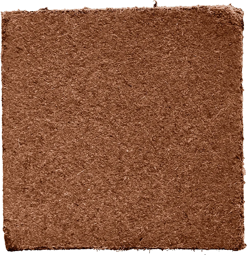 Coir pith meaning