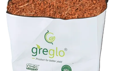 Grow Bags Manufacturer: How to Choose the Right Supplier for Your Farming Needs