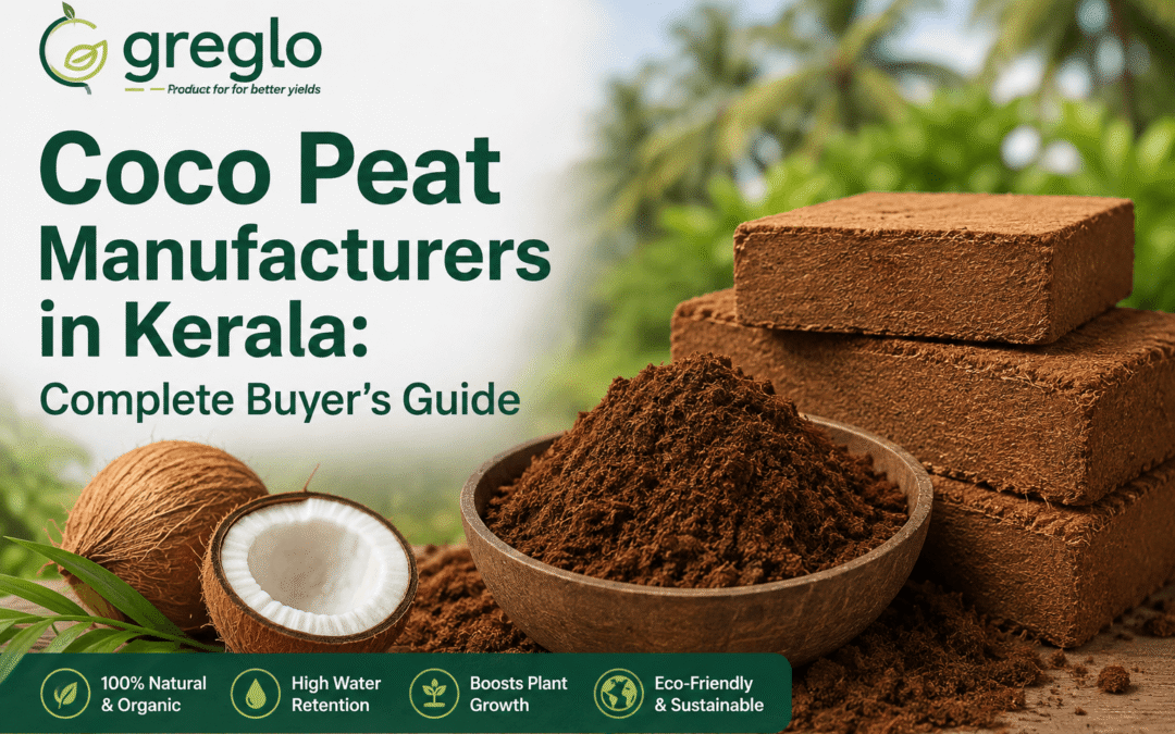 Coco peat manufacturers in Kerala – buyer’s guide