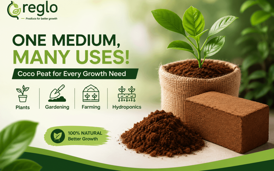 Coco peat uses for plants and gardening