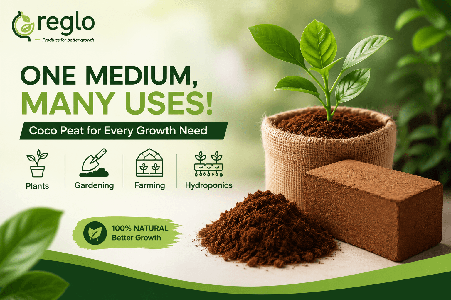 Coco peat uses for plants and gardening