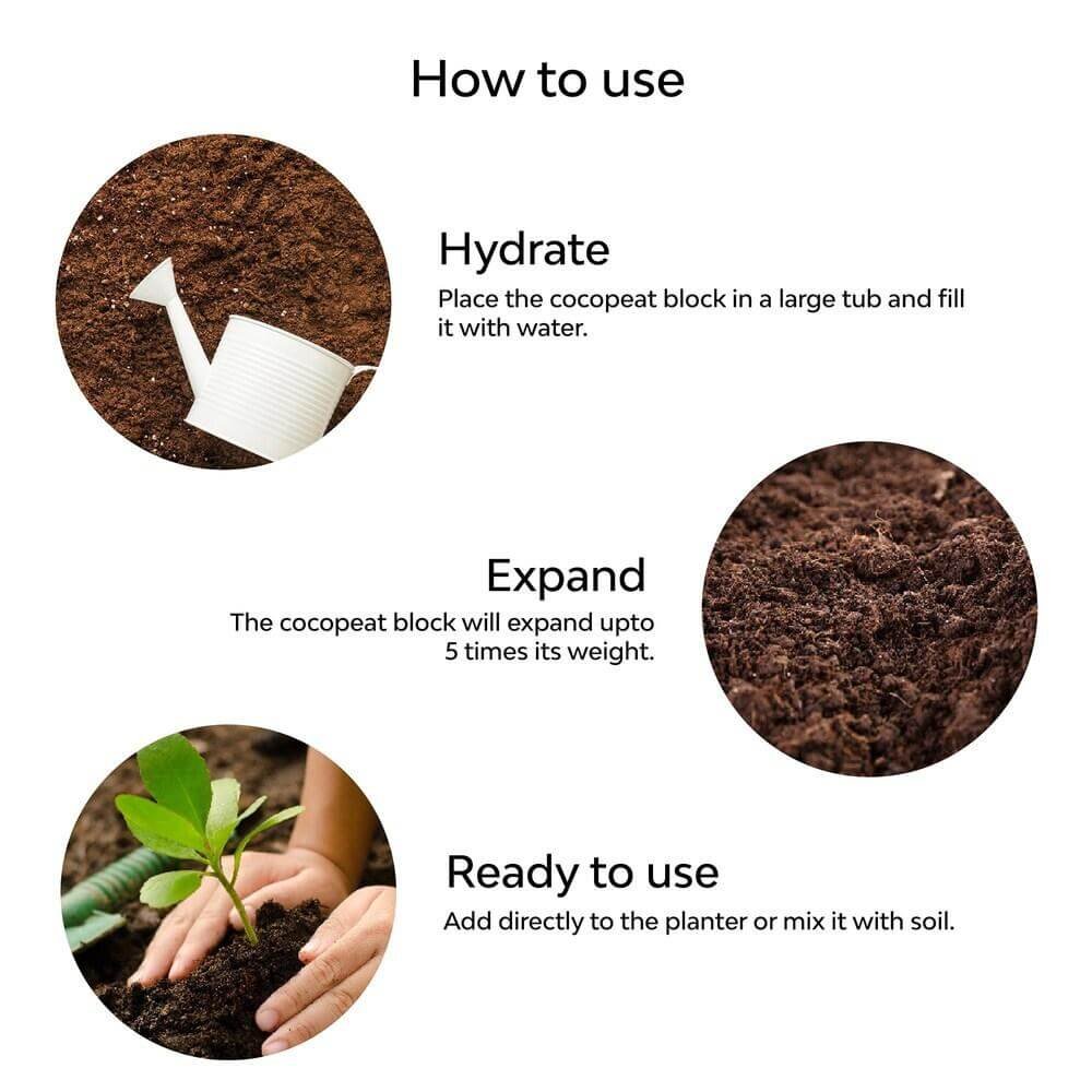 How to Compare Coco Peat Value