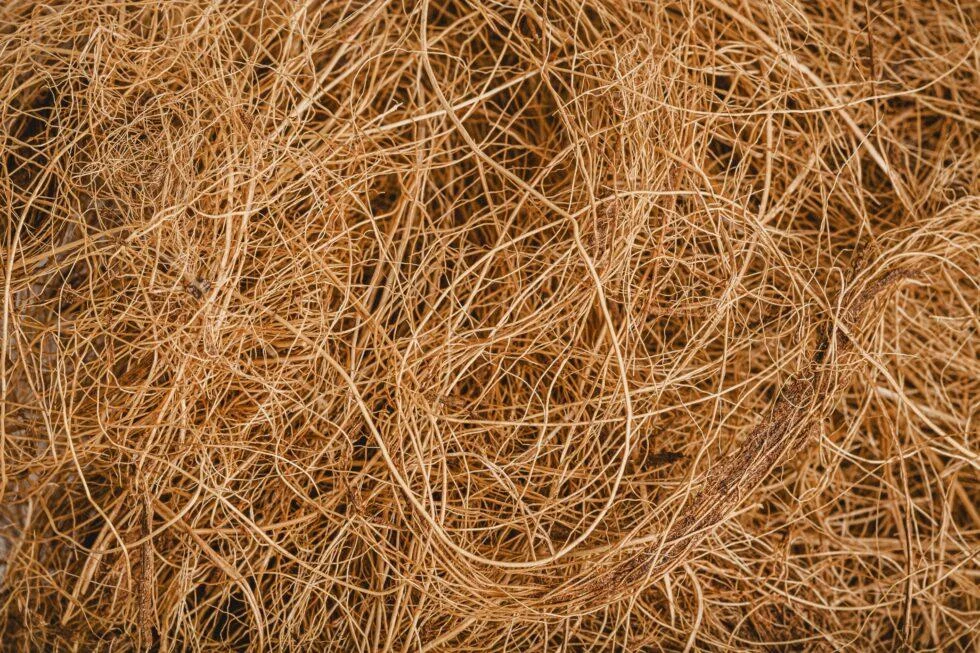 Coir pith meaning