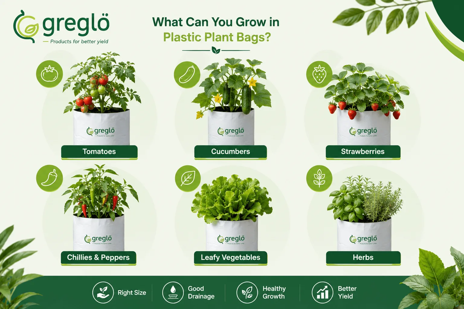Plastic plant bags for growing tomatoes, cucumbers, strawberries, chillies, leafy vegetables and herbs.