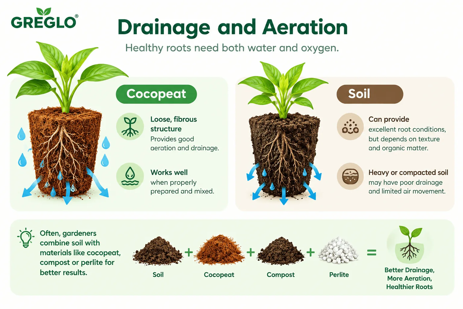 Cocopeat and soil comparison showing drainage, aeration, and healthy root growth