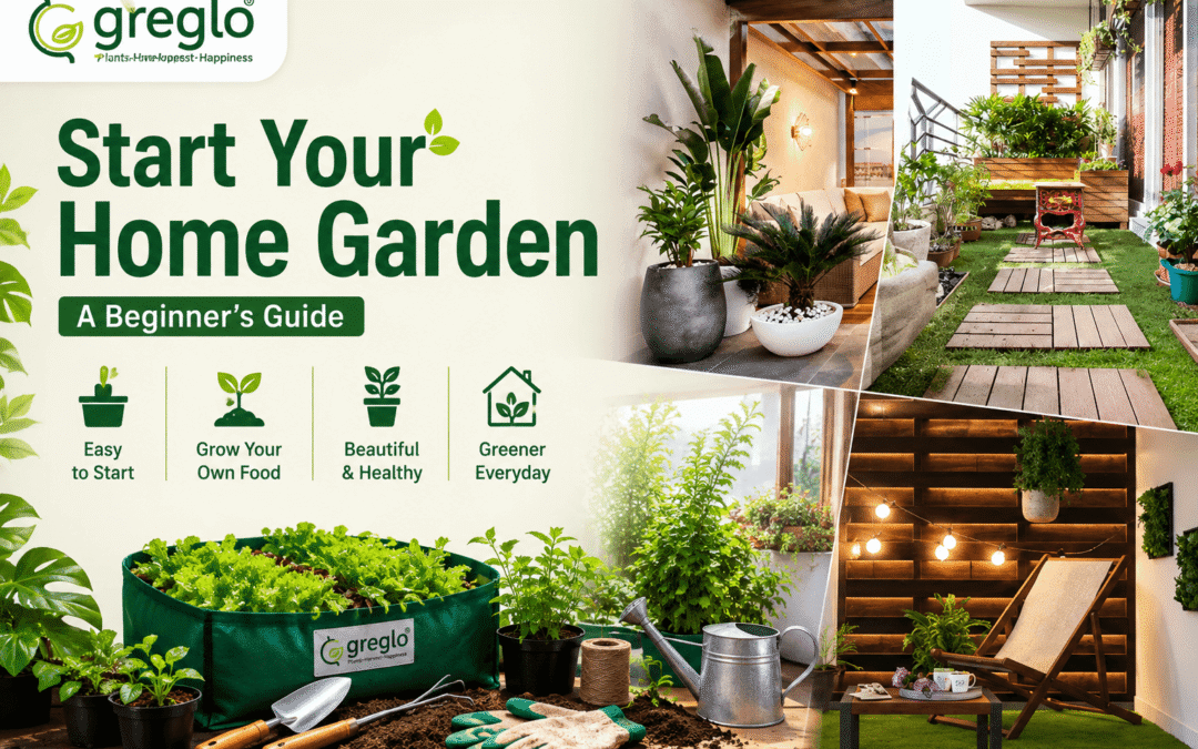 Home gardening for beginners with plants and grow bags