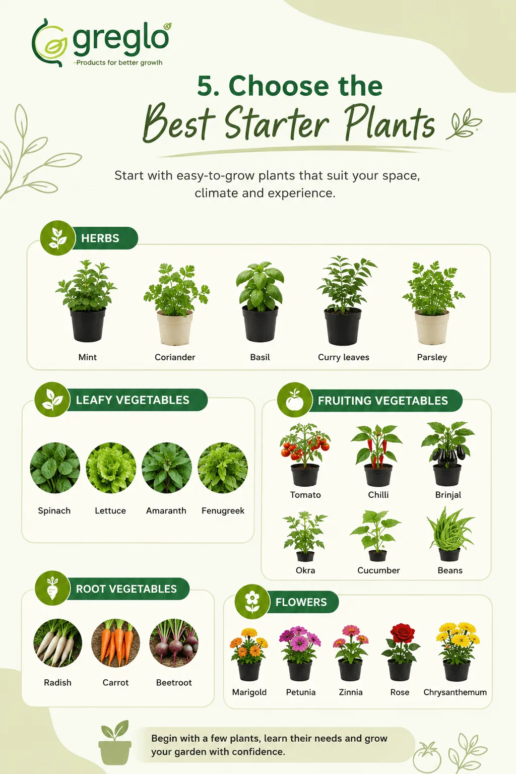 Starter plants for beginners