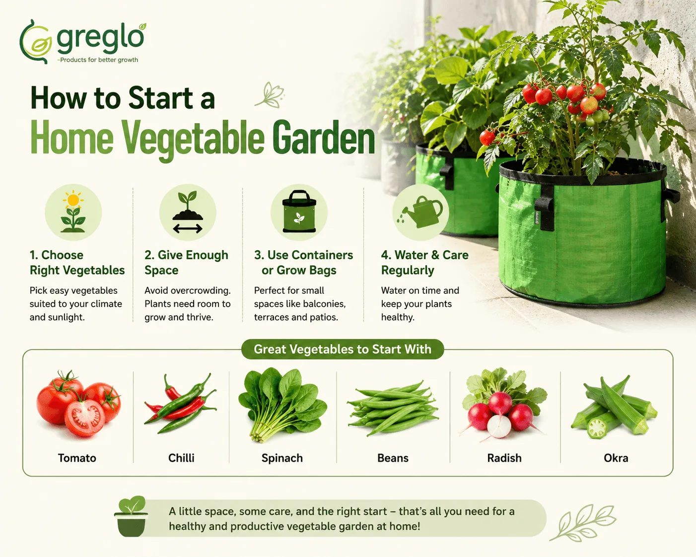Home vegetable garden for beginners