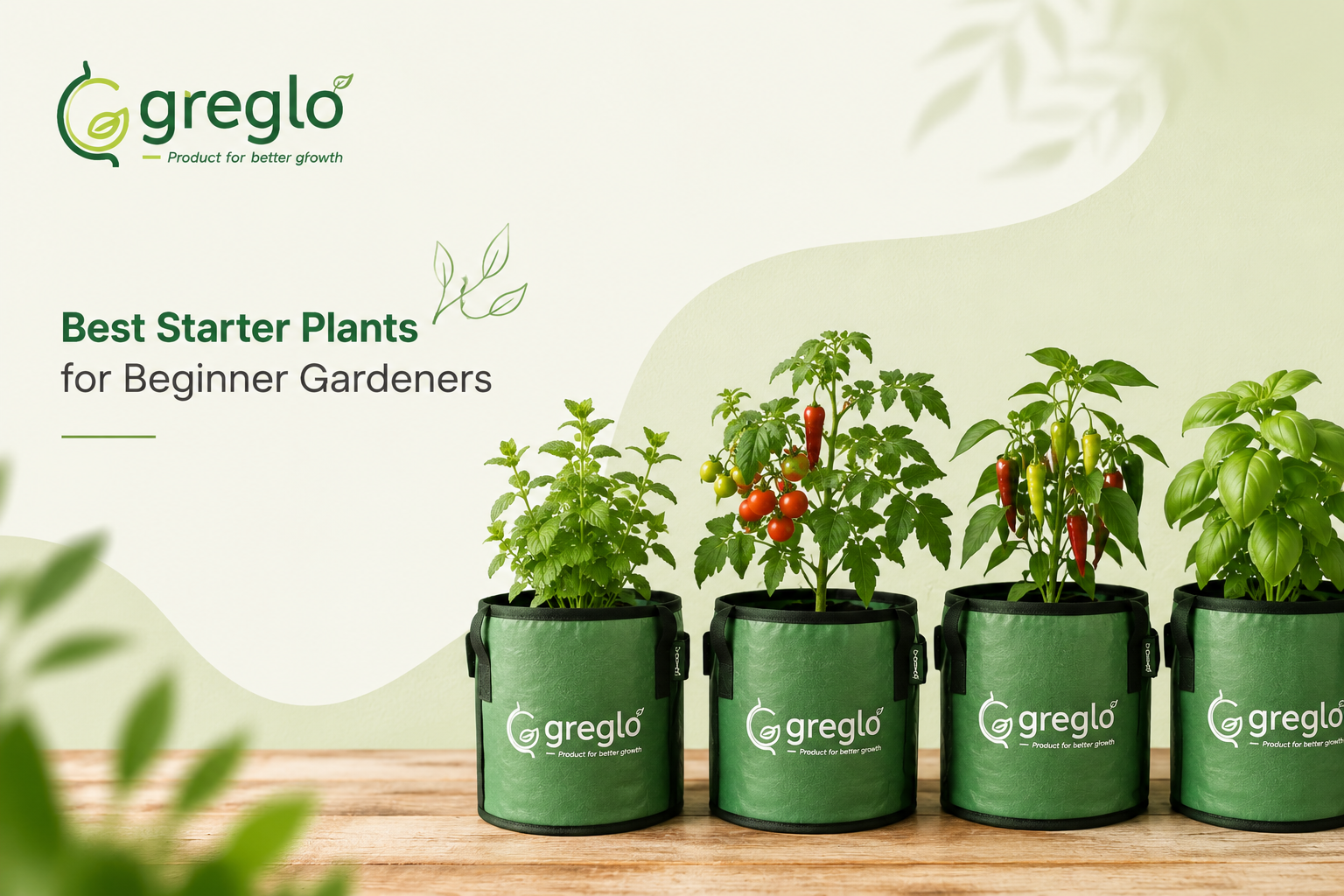 Beginner plants in Greglo grow bags