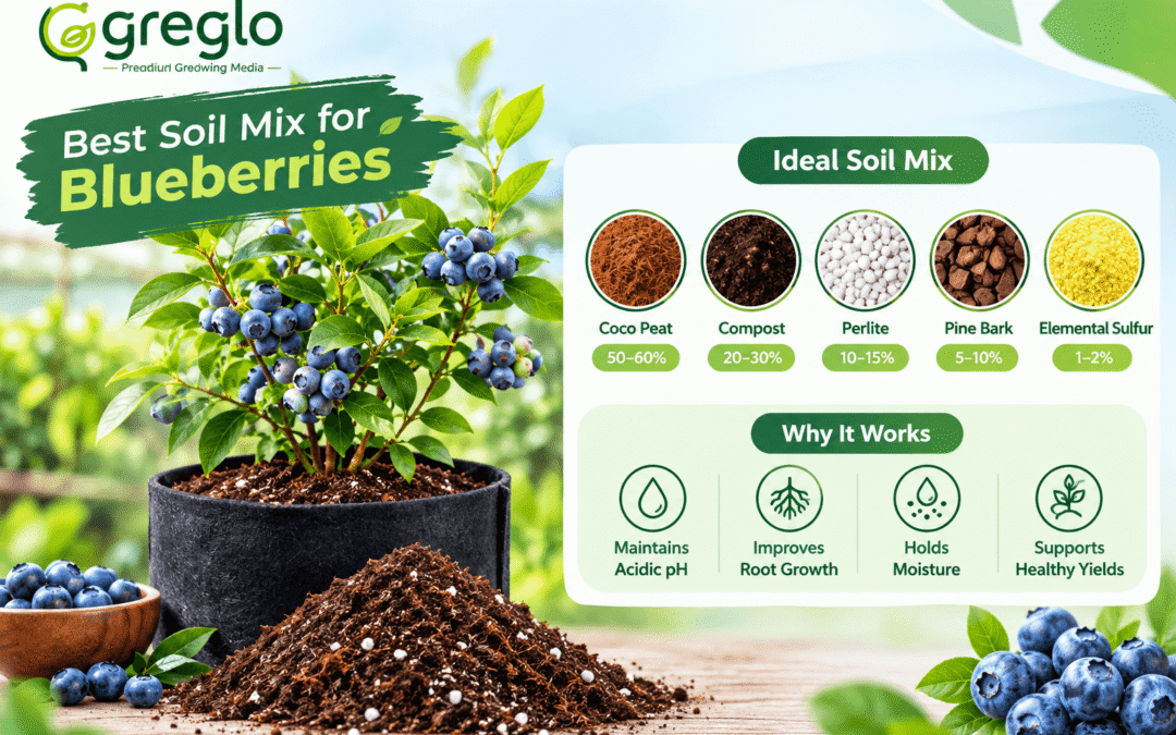 Best soil mix for blueberries with coco peat, compost, perlite, pine bark and sulfur