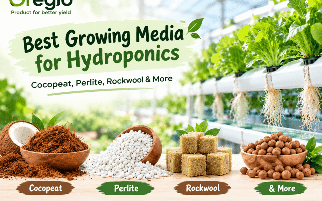 Best growing media for hydroponics