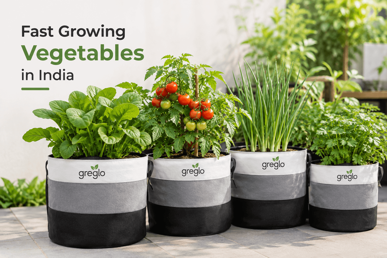 Fast growing vegetables in India grown in home garden containers