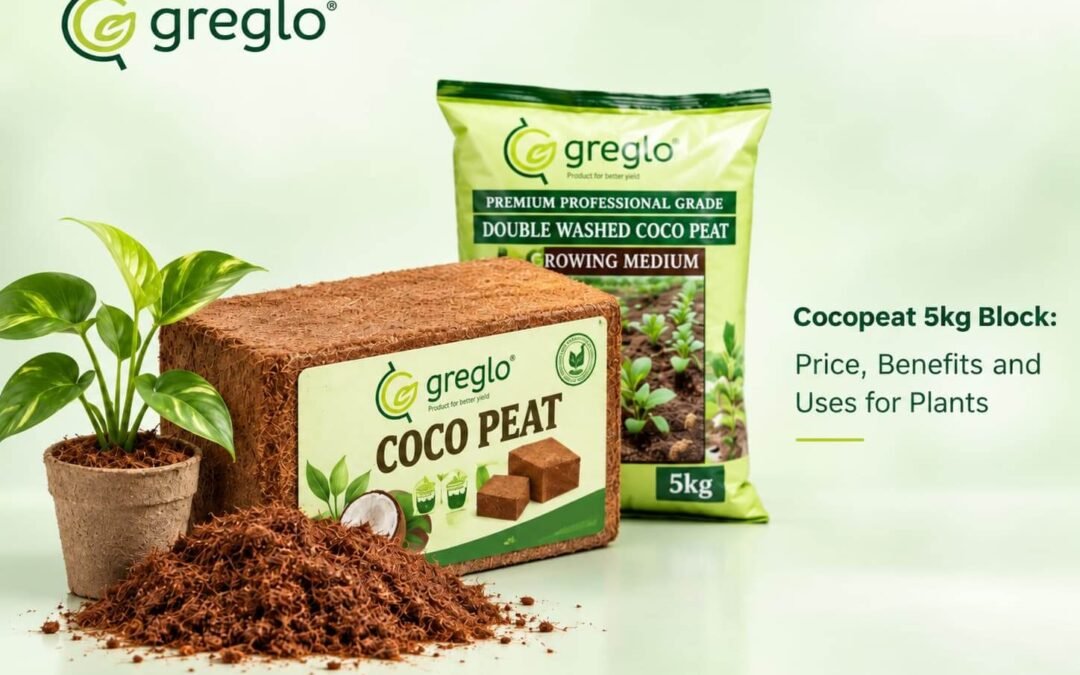 Greglo cocopeat 5kg block with loose cocopeat and plant.