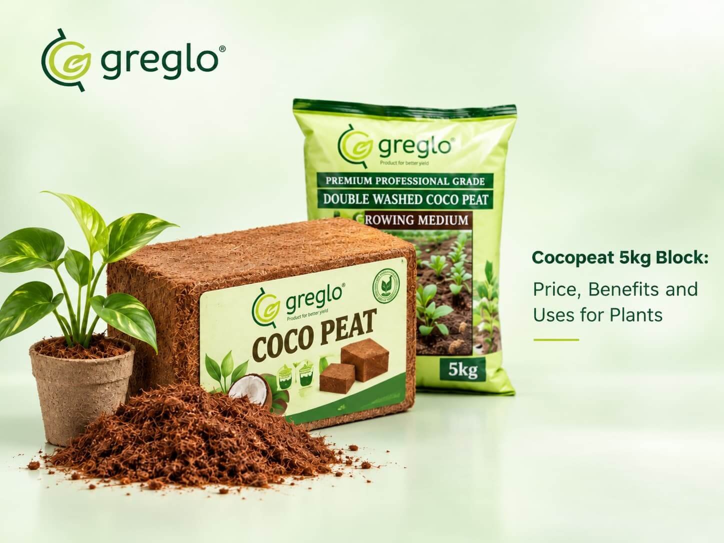 Greglo cocopeat 5kg block with loose cocopeat and plant.