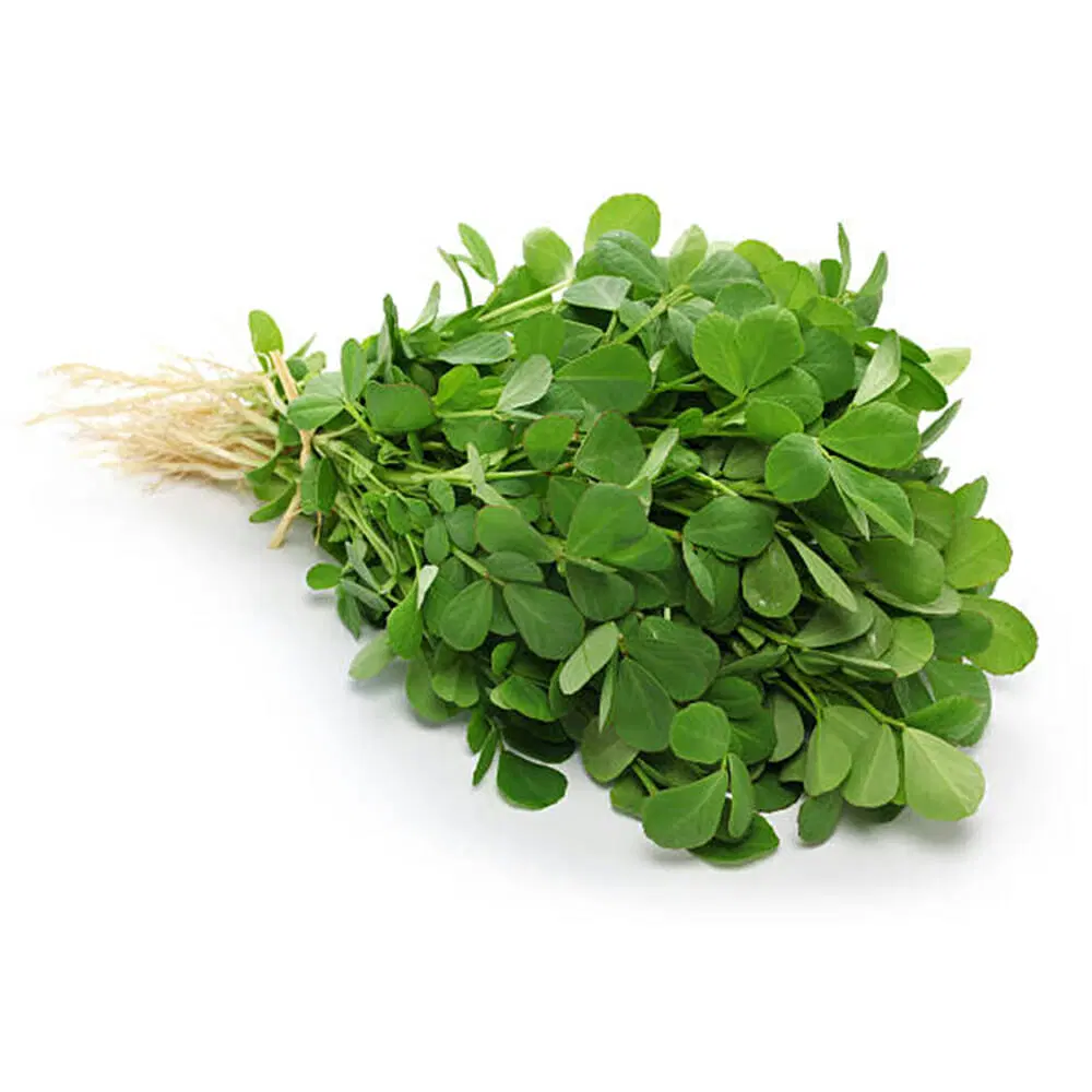 Methi Methi